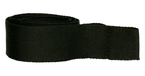 ribbon-b-1.webp