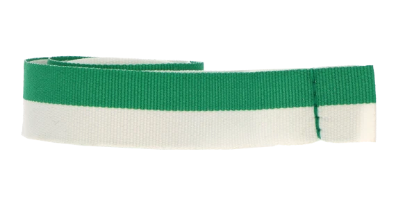 ribbon-g-w.webp