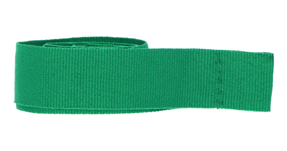 ribbon-g.webp